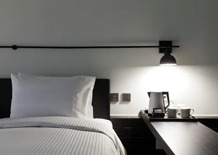 Sotetsu The Splaisir Myeongdong Hotel 4*
