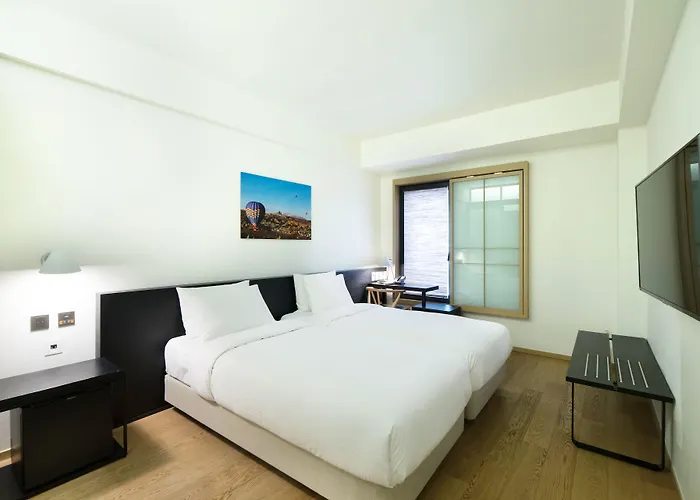 Hotel Sotetsu The Splaisir Myeongdong Seul