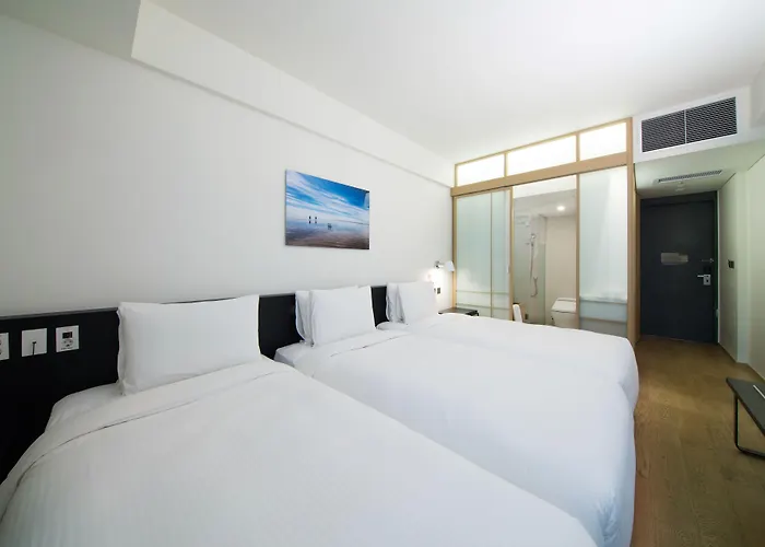 Hotel Sotetsu The Splaisir Myeongdong 4*