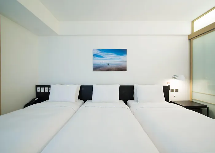Sotetsu The Splaisir Myeongdong 4* Seul