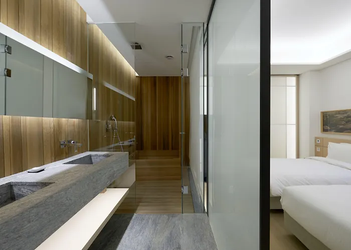 Hotel Sotetsu The Splaisir Myeongdong 4*