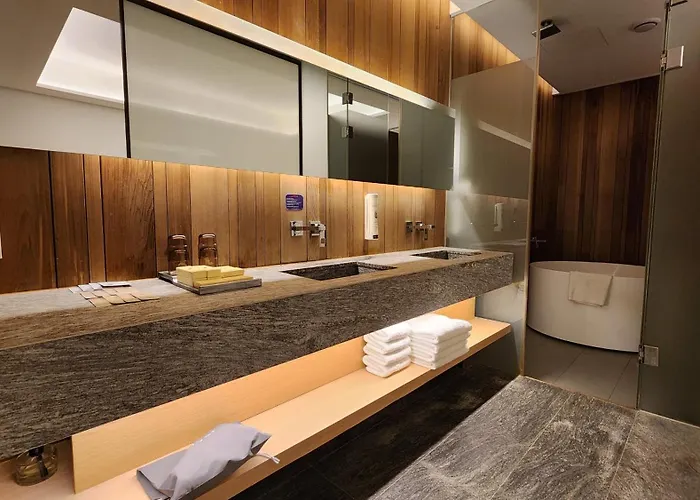 Hotel Sotetsu The Splaisir Myeongdong 4*