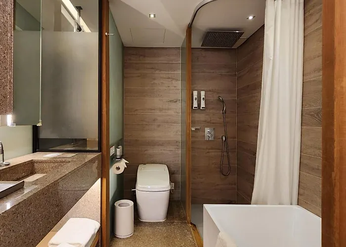 Sotetsu The Splaisir Myeongdong 4*