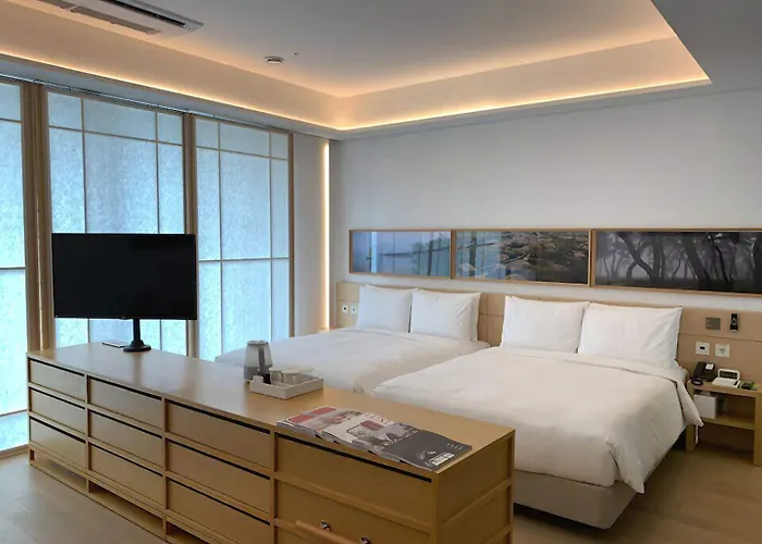 Hotel Sotetsu The Splaisir Myeongdong Seúl