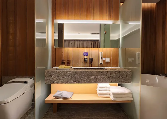 Hotel Sotetsu The Splaisir Myeongdong 4*