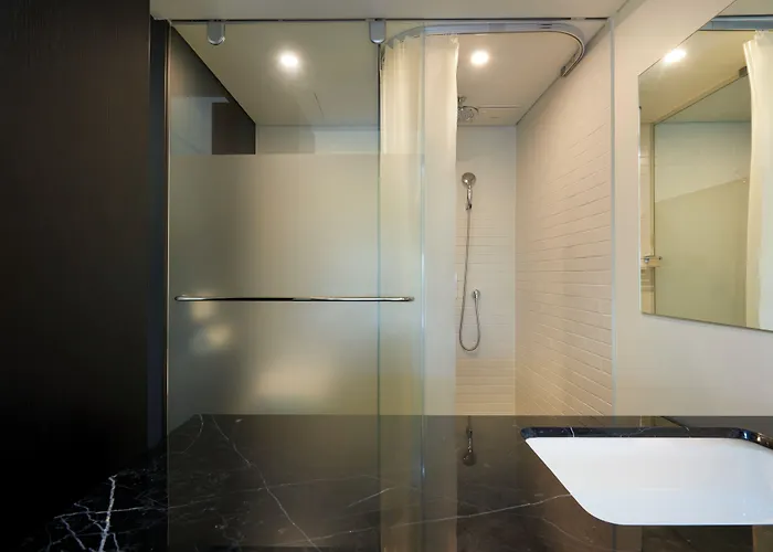 Sotetsu The Splaisir Myeongdong Hotel 4*